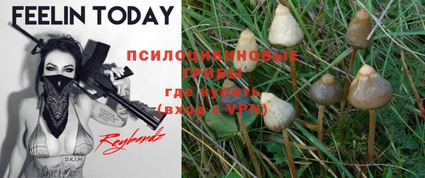 кокс Михайловск