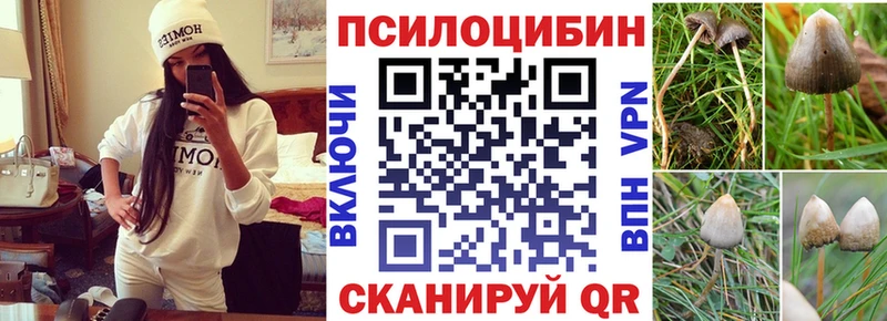 Псилоцибиновые грибы Cubensis  Осташков 